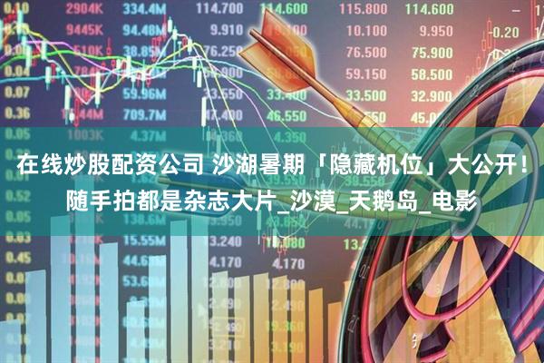 在线炒股配资公司 沙湖暑期「隐藏机位」大公开！随手拍都是杂志大片_沙漠_天鹅岛_电影