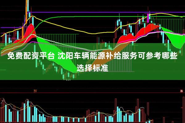 免费配资平台 沈阳车辆能源补给服务可参考哪些选择标准