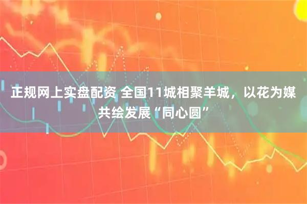 正规网上实盘配资 全国11城相聚羊城,以花为媒共绘发展“同心圆”